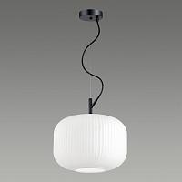 Дополнительная картинка Подвесной светильник Odeon Light Pendant Roofi 4754/1