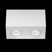 Дополнительная картинка Потолочный светильник Technical C017CL-02W