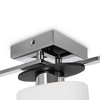 Дополнительная картинка Потолочная люстра Freya Bice FR5101-CL-03-CN