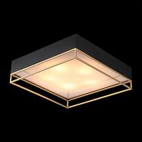 Дополнительная картинка Потолочный светильник ST Luce Chodo SL1127.422.05
