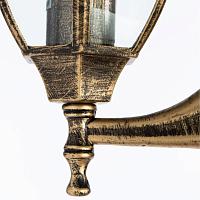 Дополнительная картинка Уличный настенный светильник Arte Lamp Pegasus A3151AL-1BN