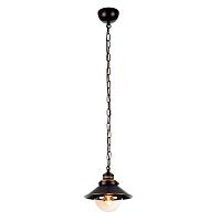 подвесной светильник arte lamp grazioso a4577sp-1ck, доставка по Казахстану 