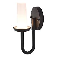 Дополнительная картинка SL9539.701.01 Светильник настенный ST-Luce CANDLE