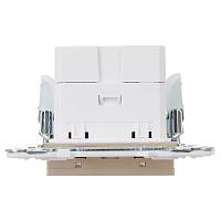 SKANDY Роз. USB A+C 3,1А SK-R14Sa песоч. IEK 