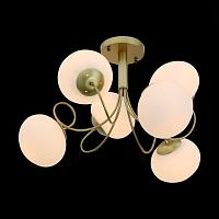 Дополнительная картинка Потолочная люстра ST Luce Acini SL717.202.06