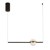 Дополнительная картинка Подвесной светильник Arte Lamp FURUD A2124SP-1BK