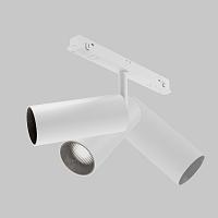 Дополнительная картинка Трековый светильник Technical TR032-2-12W4K-S-W