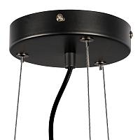 Дополнительная картинка Подвесная люстра Lightstar Globo 815097