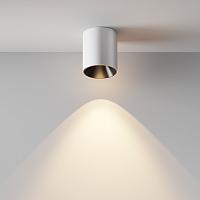 Дополнительная картинка Потолочный светильник Technical C064CL-12W3K-RD-WB