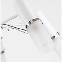 Дополнительная картинка Потолочная люстра F-Promo Viator 2559-5P