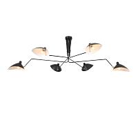 Дополнительная картинка Подвесная люстра ST Luce Spruzzo SL305.402.06