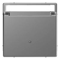 Выключатель карточный Schneider Electric Merten D-Life MTN3854-6036 