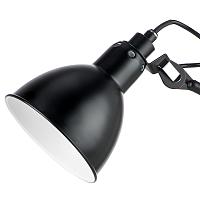 Дополнительная картинка Настольная лампа Lightstar Loft 765917