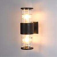 Настенный уличный светильник Arte Lamp TOKYO A5315AL-2BK светильники