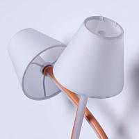 480022902 MW-light Аэлита Настенный светильник