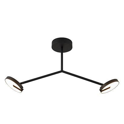 Потолочные Потолочный светильник Paritet 4401-2C, доставка по Казахстану 