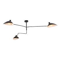 Дополнительная картинка Потолочная люстра ST Luce Spruzzo SL305.402.03