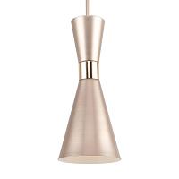 Дополнительная картинка Подвесной светильник F-Promo Sheen 2759-1P
