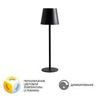 Дополнительная картинка Настольный светильник FUYUE Arte Lamp A1614LT-1BK