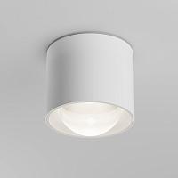 Дополнительная картинка Потолочный светильник Technical C217CL-15W4K-W