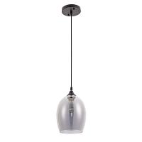 Дополнительная картинка Подвесной светильник Arte Lamp Propus A4344SP-1BK