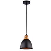 Дополнительная картинка Подвесной светильник Arte Lamp Eurica A4245SP-1BK