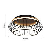 Дополнительная картинка Потолочный светильник Korg 4435-2C