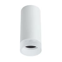 Дополнительная картинка Потолочный светильник Arte Lamp Ogma A5556PL-1WH