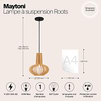 Дополнительная картинка Подвесной светильник Maytoni MOD193PL-01W