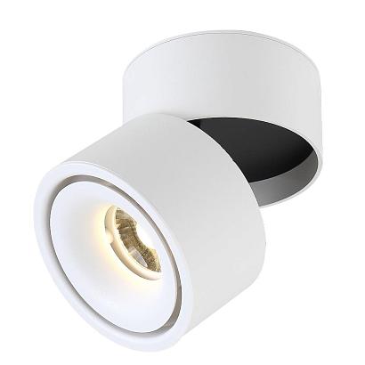 Светильник потолочный Crystal Lux CLT 412C WH Crystal Lux 1400/157 купить в Алматы svet.kz