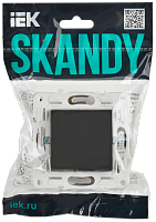 SKANDY Выключ. 1-кл. прох. 10А SK-V02G граф. IEK 