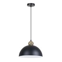 подвесной светильник arte lamp recinto a7053sp-1bk, доставка по Казахстану 