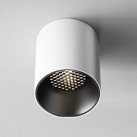 Дополнительная картинка Потолочный светильник Technical C064CL-12W4K-RD-WB