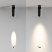Дополнительная картинка Потолочный светильник Technical C055CL-L12W2.7K-SS-B