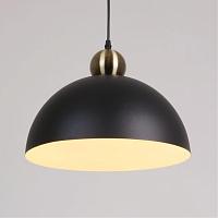 Дополнительная картинка Подвесной светильник Arte Lamp RECINTO A7053SP-1BK