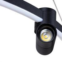 подвесной светильник arte lamp ring a2186sp-1bk, доставка по Казахстану 