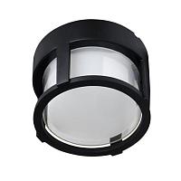 Уличный светильник Arte Lamp ULYSSES A6206PF-1BK
