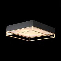Дополнительная картинка Потолочный светильник ST Luce Chodo SL1127.422.05