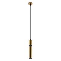Дополнительная картинка Подвесной светильник Arte Lamp RAN A3145SP-1PB