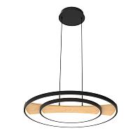 Дополнительная картинка 723227 Светильник LODI Lightstar