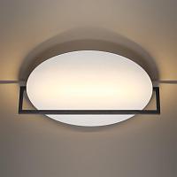 7015/20WL Odeon Light Настенно-потолочный светильник LUNAR