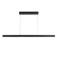 Дополнительная картинка Светильник подвесной Arte Lamp LAO A2190SP-1BK