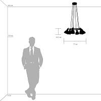 Дополнительная картинка Подвесная люстра Lightstar Acrobata 761160