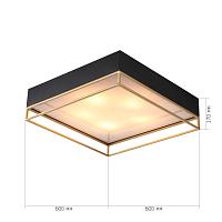 Дополнительная картинка Потолочный светильник ST Luce Chodo SL1127.422.05