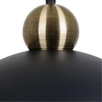 подвесной светильник arte lamp recinto a7053sp-1bk, доставка по Казахстану 