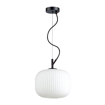 Подвесные Подвесной светильник Odeon Light Pendant Roofi 4753/1, доставка по Казахстану 