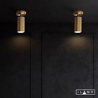 Дополнительная картинка Настенно-потолочный светильник iLamp PLUM 8861C BRASS&BLACK