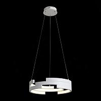 Дополнительная картинка Подвесной светодиодный светильник ST Luce Genuine SL963.503.01