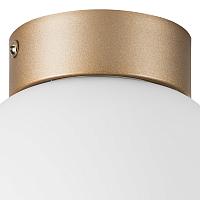 люстры 812013 (mx8131-1b-s ) люстра globo 1х40w e14 champagn gold/white (в комплекте), доставка по Казахстану 