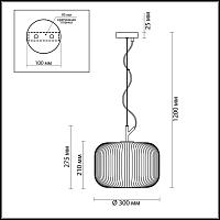 подвесной светильник odeon light pendant roofi 4754/1, доставка по Казахстану 
